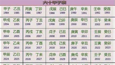 巳亥|己亥年（干支纪年）